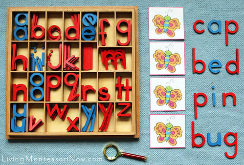 Butterfly Inspectors - CVC Pictures Movable Alphabet Spelling