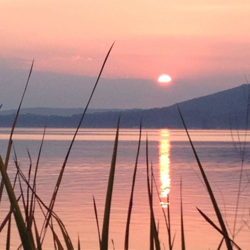 sunset lake alabama guntersvillelake