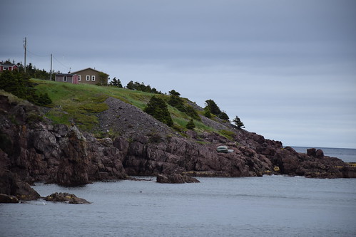 newfoundland duntara