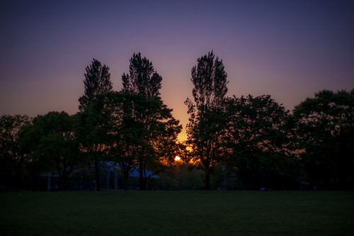 park blue sunset shadow sky orange sun tree green grass silhouette japan zeiss t landscape 50mm nikon f14 horizon 14 carl osaka gradation 50 planar tsurumi zf ryokuchi planart1450 zf2 d3s