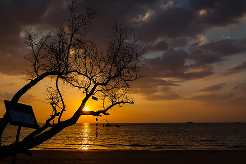 thailand sunset clouds evening orange canon5dmkii canon sea canoneos5dmarkii eveningsun tree serene serenity dusk sky signs horizon beach sun endofday autofocus 2470 tamronafsp247028divcusd tamron khaolak andamansea tamronsp2470mmf28divcusd