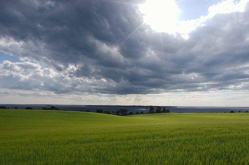 green field barley landscape ven öresund pentaxda15mmf4