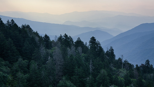 trees summer panorama foothills mountains color detail nature fog landscape us nationalpark haze soft view unitedstates natural cloudy nps tennessee pano relaxing atmosphere biosphere northcarolina panoramic calm hills ridge photograph dreamy layers appalachian peaks delicate nationalparkservice overlook depth smokymountains ridges distant brysoncity greatsmokymountainsnationalpark