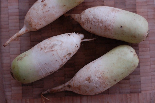 Daikon radishes by Eve Fox, The Garden of Eating, copyright 2015