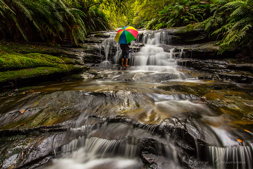 nature creek forest canon river waterfall stream valley katoomba bluemountain selfie leuracascade