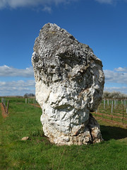 Le menhir dit 'la Pierre Blanche' à Oudon près d'Ancenis - Loire-Atlantique - Avril 2015 - 06