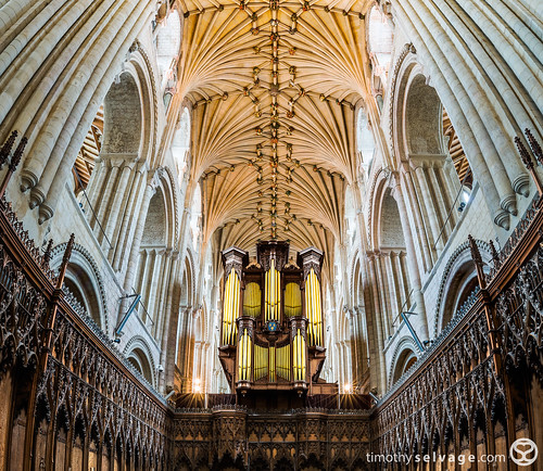 Norwich Cathedral organ and vault