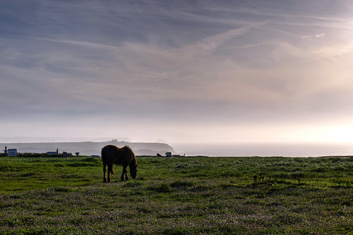horse caballo atardecer mar seaside asturias paisaje prado gozón lejanía