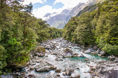newzealand water river landscape stream ngc southland fiordlandnationalpark watermarked landscapephotography outdoorphotography