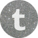 tumblr silver round social media icon