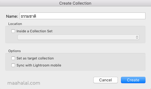 Create Lightroom Collection