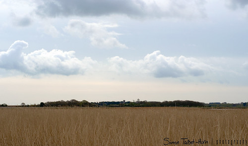 england sky clouds reeds landscape 50mm countryside suffolk nikon marsh nikkor f18 dslr 50 snape eastanglia fifty marshes landscapephotography reedbeds iken fastlens niftyfifty d5100