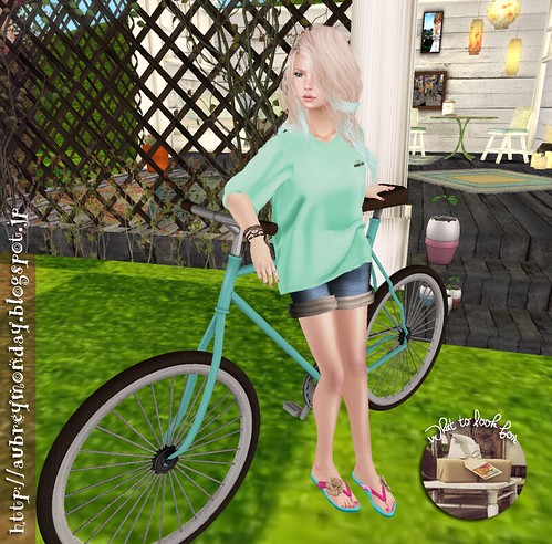 Bicycle Pose