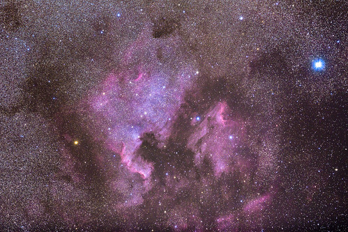 space nebula astrophoto milkyway northamericanebula ngc7000 ic5070 astrophotograpy pelicannebula