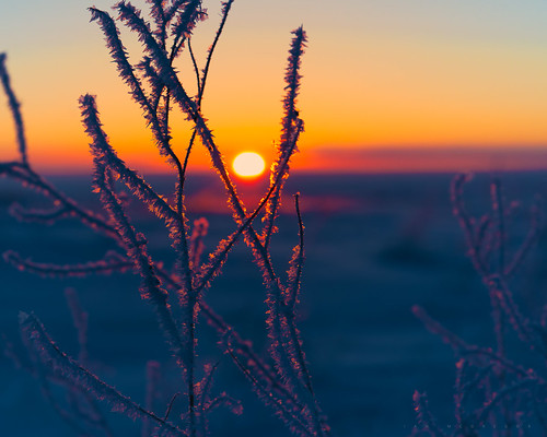 morning winter snow canada beautiful sunrise photography nikon frost canadian saskatchewan d800 ianmcgregor ianmcgregorphotographycom