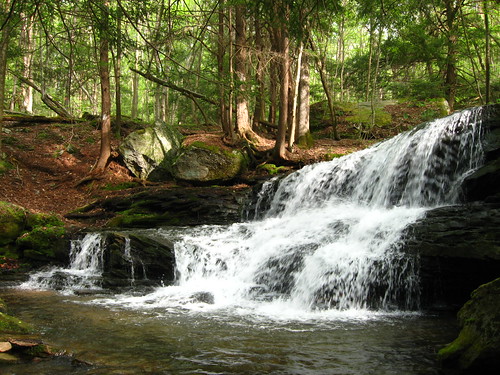trees creek forest waterfall woodlands rocks stream falls serene flowing logan cascade anf