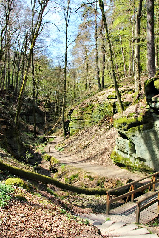 Mullerthal Trail 2: Berdorf - Consdorf