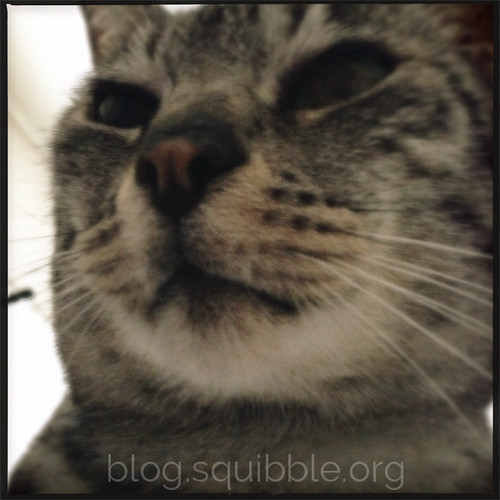 Project 365 - Squibble - 56