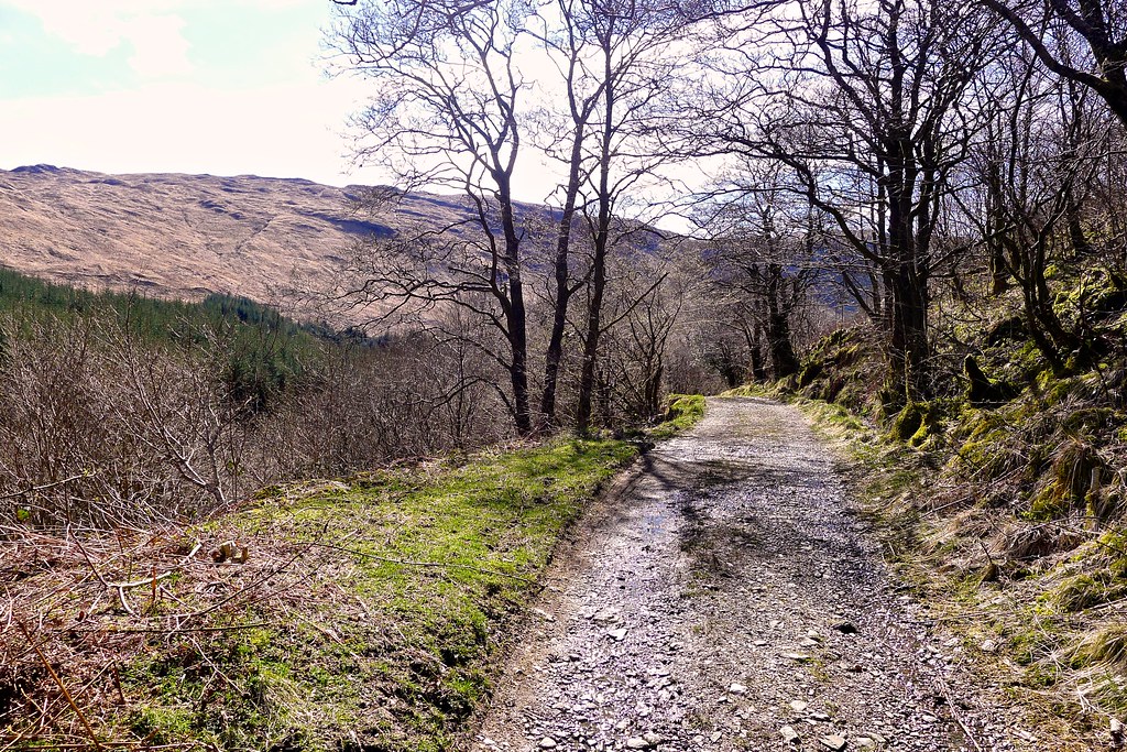 The track through Glen Fyne