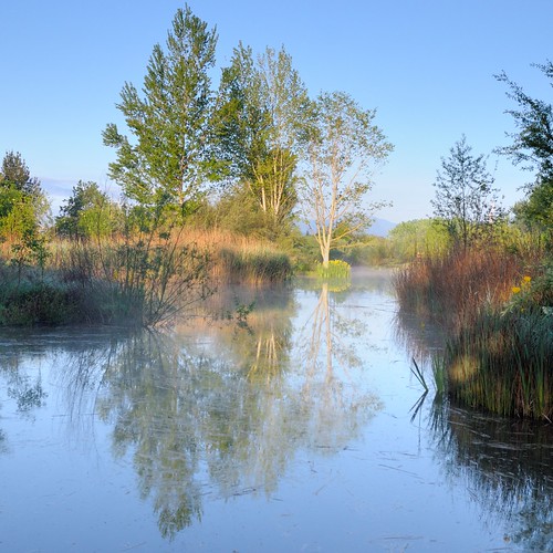 nature water sunrise landscape spain catalonia girona catalunya esp