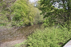 River Aire