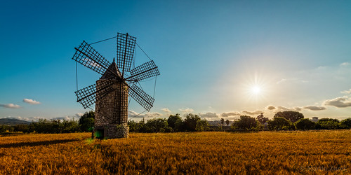 world travel light vacation sky cloud sun holiday mill nature windmill beautiful field clouds zeiss canon landscape gold golden nice spain view wind viento clear molino espana spanish hour 5d es typical spanien ze illesbalears montuïri 5ds distagont distagont2815 5dsr