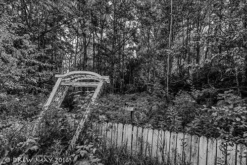 trees blackandwhite canada garden landscape fences trellis alberta drewmayphotography lacstannecounty
