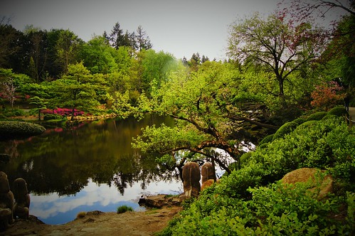 garden japanese pond topiary oriental japonais topiaire
