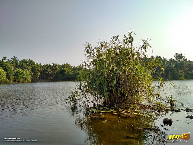 Ramasamudra Lake, in Karkala, Udupi district, Karnataka, India