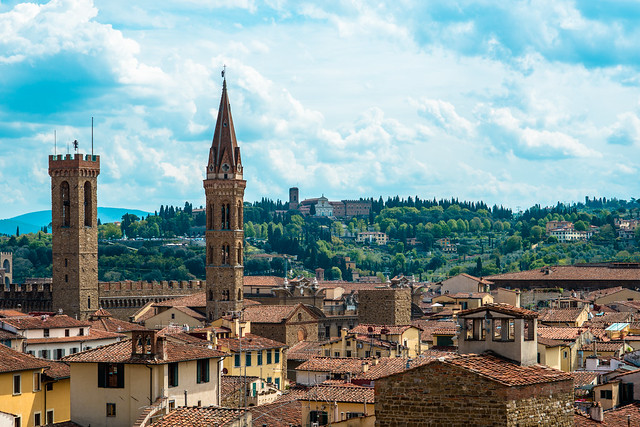 Towers of Florence