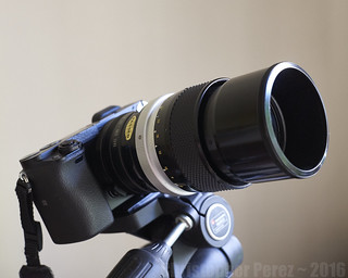 Sony A6000 + Nikon 135mm f/2.8 pre-Ai ~ Lens Comparison