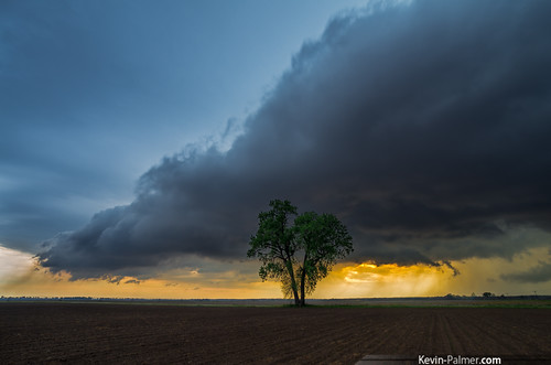 sunset storm tree field weather clouds gold golden evening illinois spring glow may stormy shelf thunderstorm kilbourne severe scud masoncounty gustfront kevinpalmer pentaxk5 samyang10mmf28