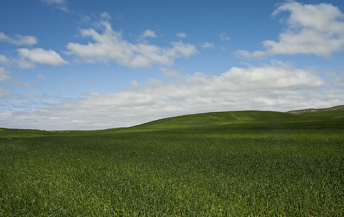 blue sky verde green landscape paisaje land virgen tierra