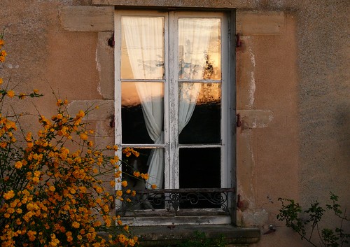 flowers sunset france color window fleur french flora sundown burgundy panasonic bourgogne morvan yonne mladjenovic