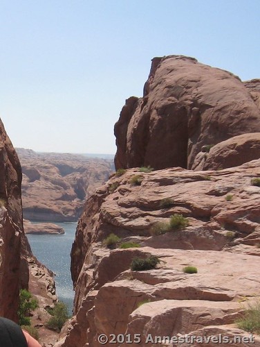 At the top of Hole in the Rock. You don't have to scramble to see this. Glen Canyon National Recreation Area, Utah