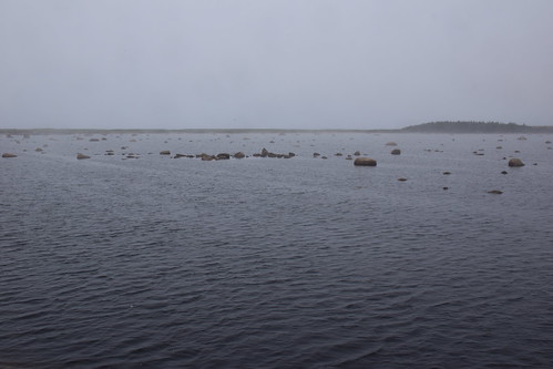 newfoundland rockypond