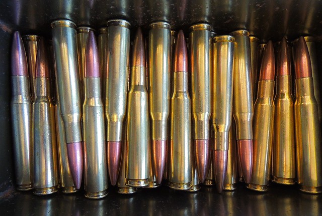 .50 Cal ammo for the warbird