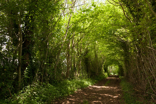 normandy normandie france lepaysdauge orville orne countryside campagne countrywalks rambling promenades randonées lefortbanny