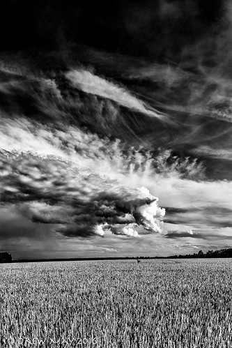 trees sky blackandwhite canada storm clouds canon grain alberta fields lacstannecounty