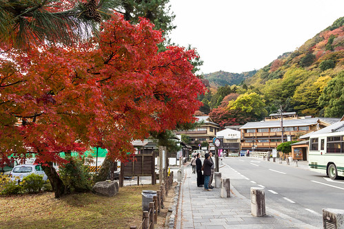 Охота за красным ноябрем, Япония 2014 (завершен)