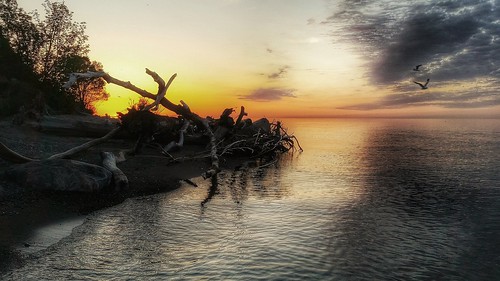 ontario canada nature corner sunrise flow happy dawn spring pattern trail driftwood scarborough lovely bliss westhill