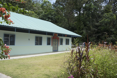 Chinese Kampung House No. 363 opposite Sensory Trail Ponds