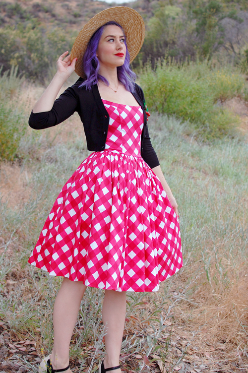 Pinup Girl Clothing Jenny dress in Red and White Picnic print