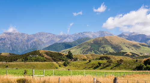 newzealand landscape hill canterbury coutryside hapuku landscapephotography outdoorphotography