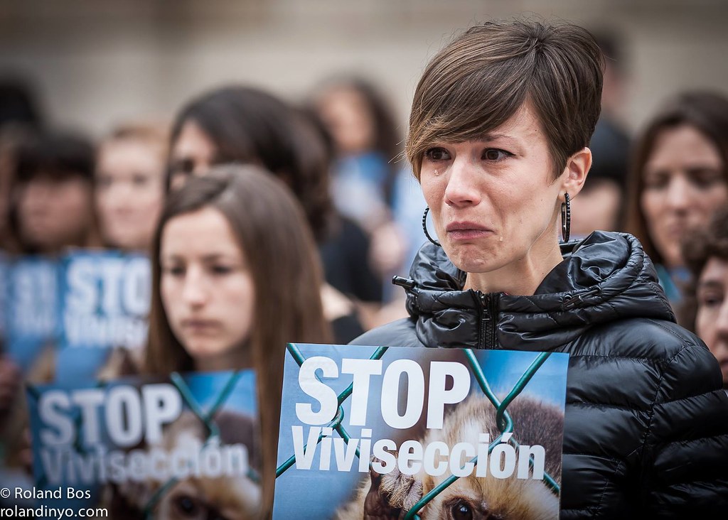 Acciones contra la vivisección en España #StopVivisection abr2015