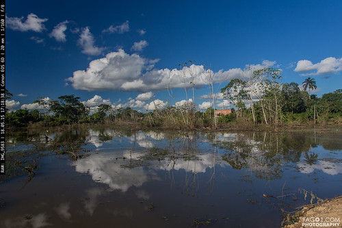 landscape amazon bolivia basin beni rurrenabaque