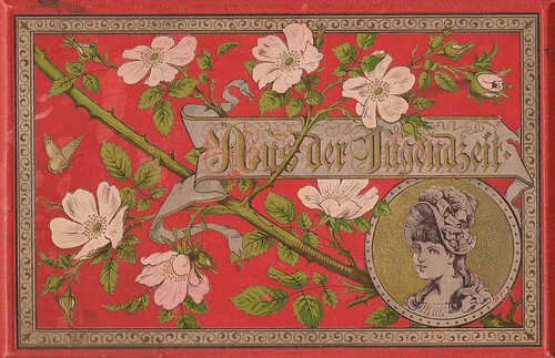 Poesie Poesiealbum Erinnerung Gertrud 1904 – 1909 alte deutsche Schrift entziffern Kurrentschrift Transkription Foto Brigitte Stolle 