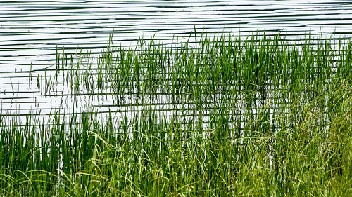 sky water pond vermont unitedstates overcast places northamerica lyndonville chandlerpond smcpda55300mmf458ed pentaxk5 chandlerpondfarm