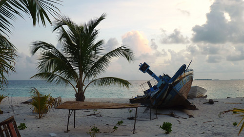 sunset beach ship palm shipwreck palmtree maldives