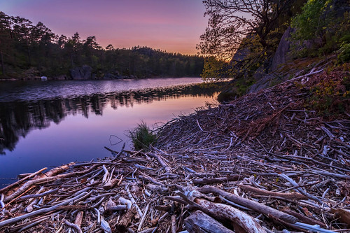 norway landscape sunset pine nature reflection forest color light lake evening norge vestagder kristiansand no